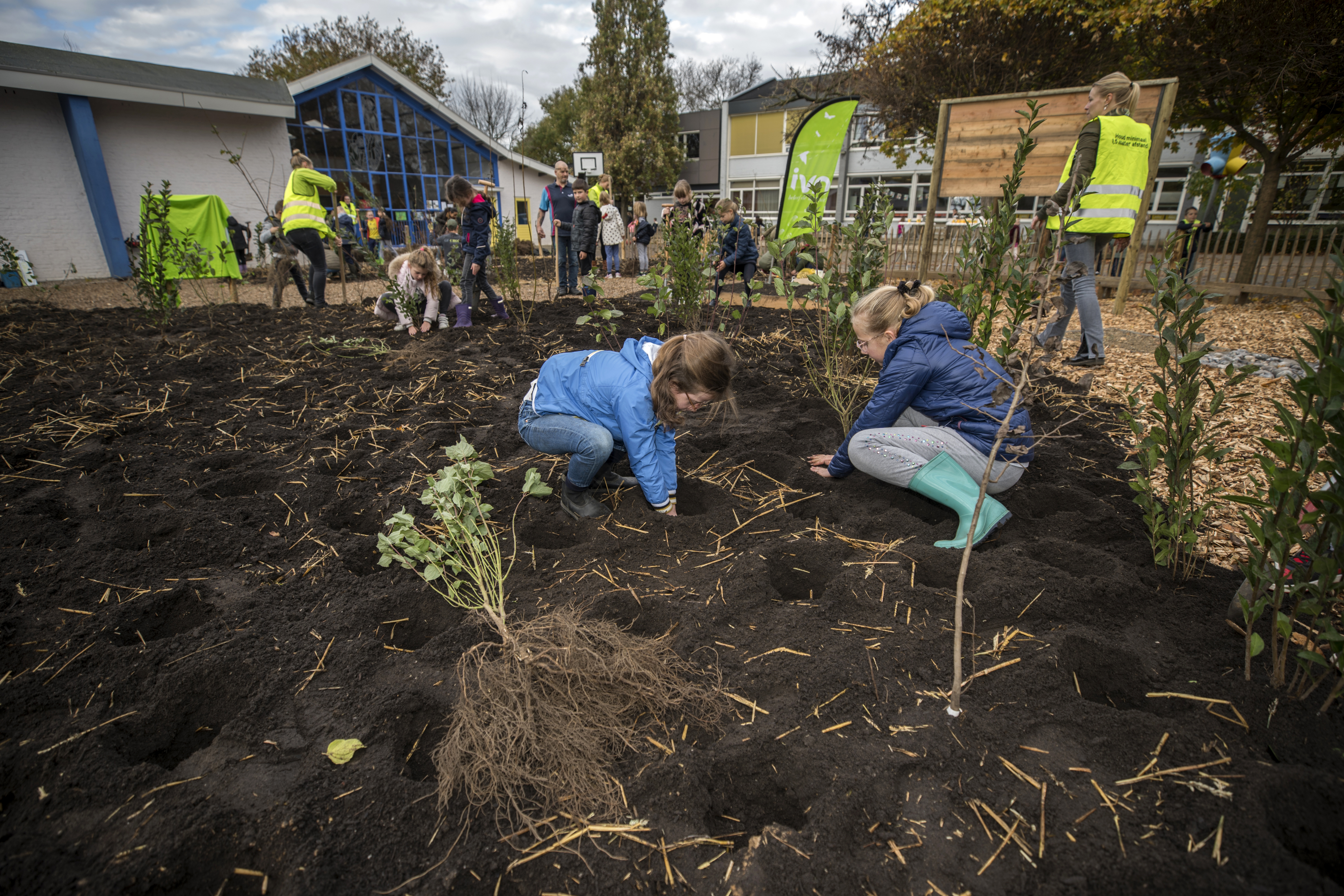 Kinderen basisschool De Keerkring in Cadier en Keer planten tiny forest: zevenhonderd bomen op het s